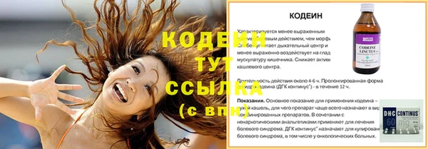 винт Верея