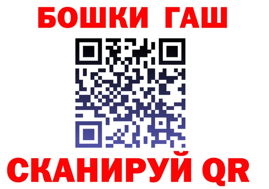Как найти закладки? darknet официальный сайт Заречный