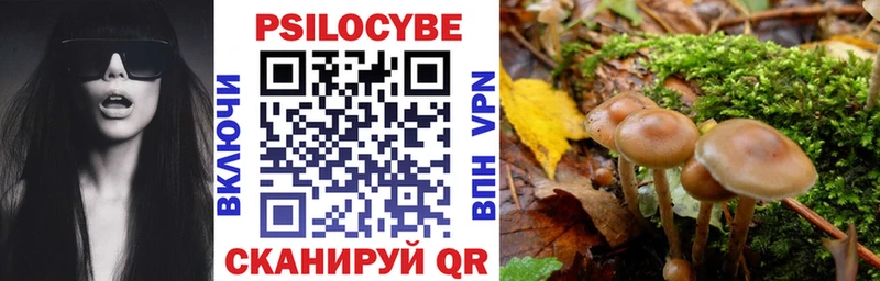 Галлюциногенные грибы Psilocybe Заречный